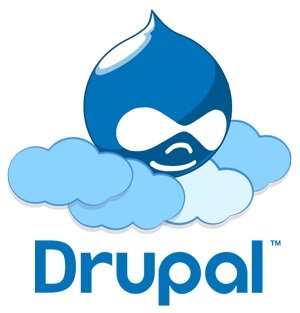 Choosing VPS hosting for a Drupal website